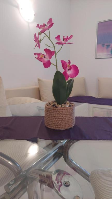 Apartments Mestral Baška Voda Екстериор снимка
