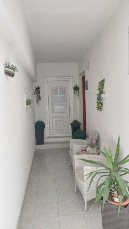 Apartments Mestral Baška Voda Екстериор снимка
